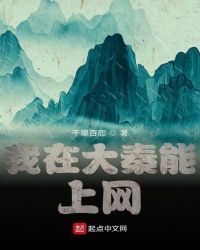 我在大秦能上网