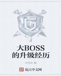 大BOSS的升级经历