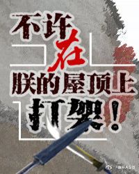 不许在朕屋顶上打架[综]